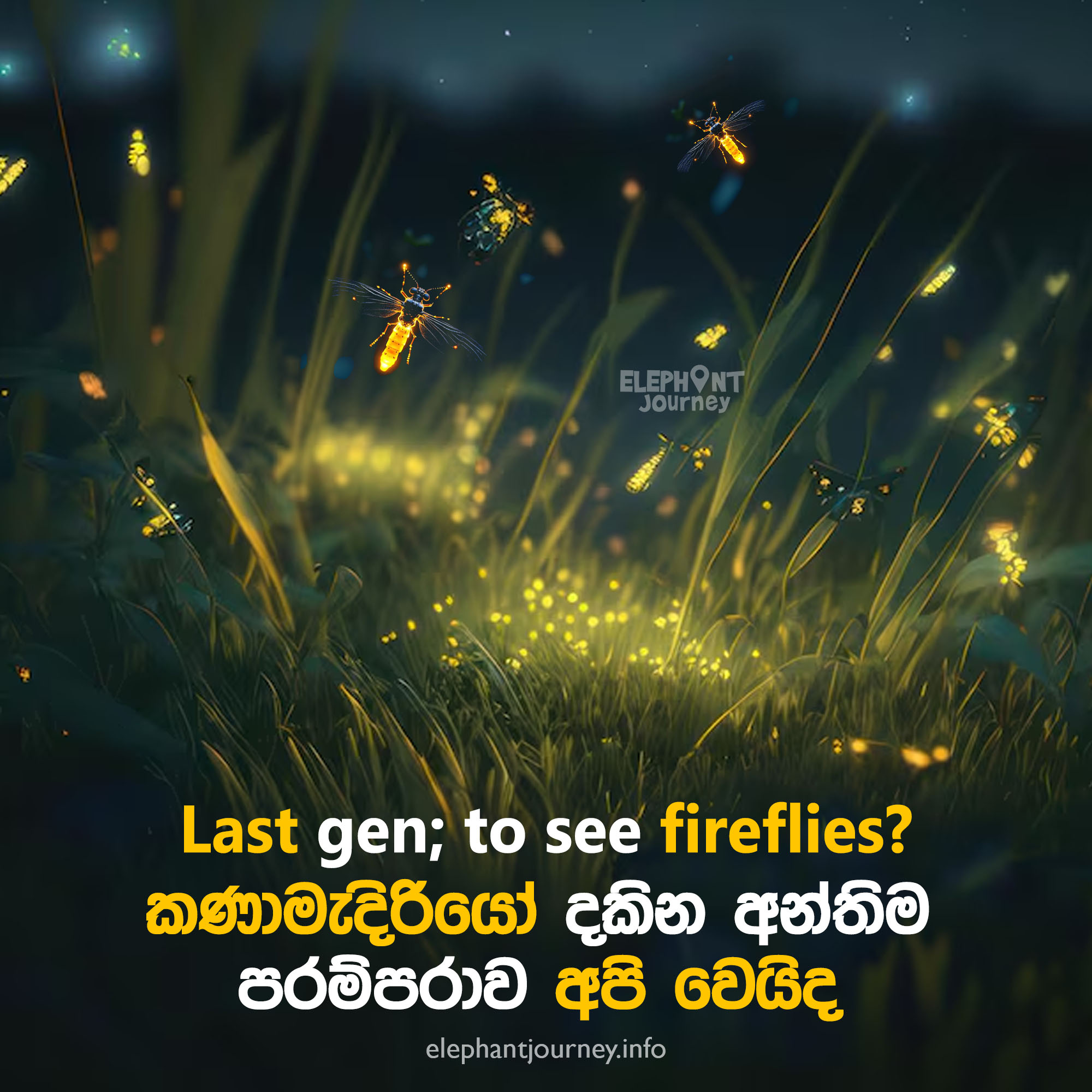 කණාමැදිරියන් දකින අවසන් පරම්පරාව අපි වෙයිද?