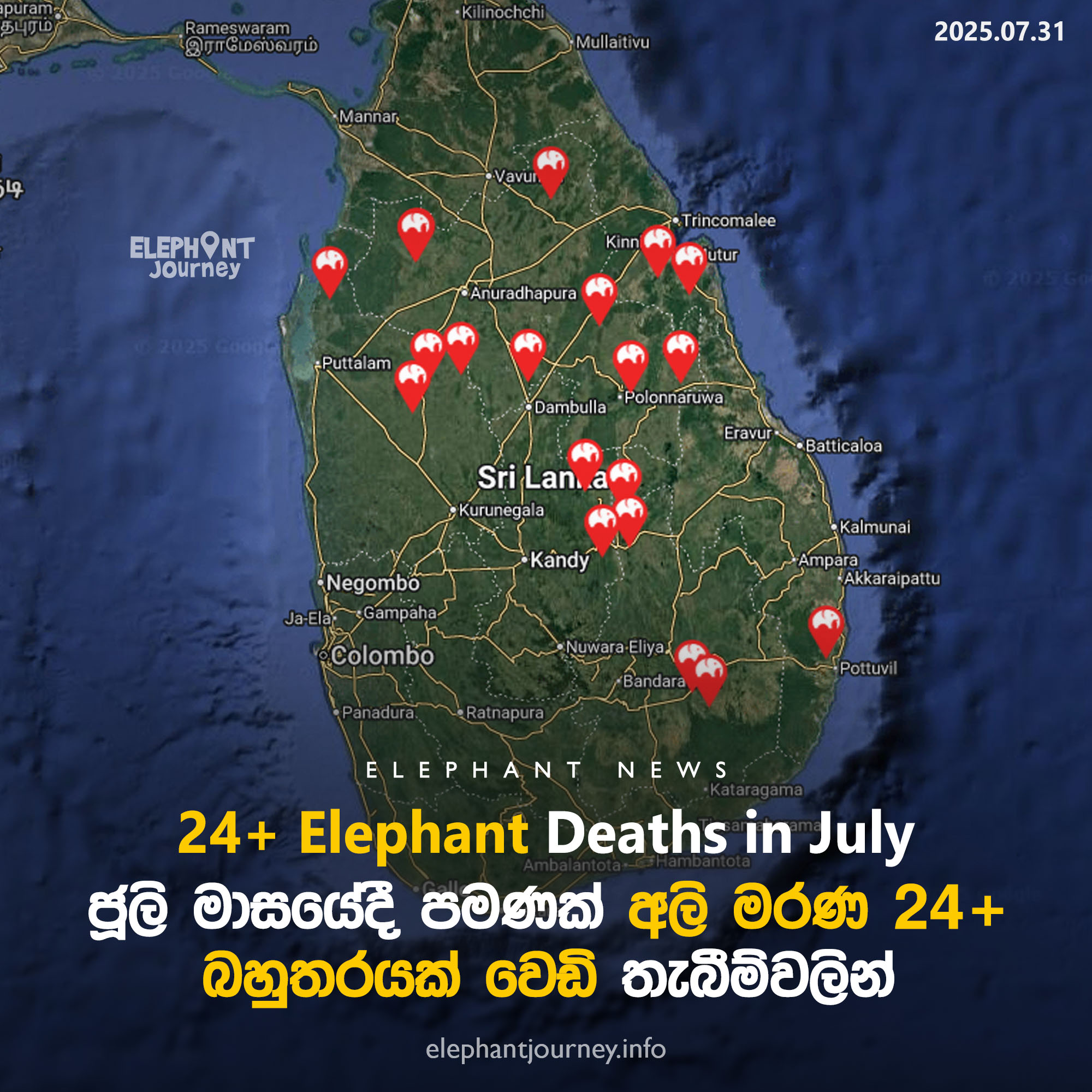 ජූලි මාසයේදී අලි මරණ 24 ඉක්මවයි