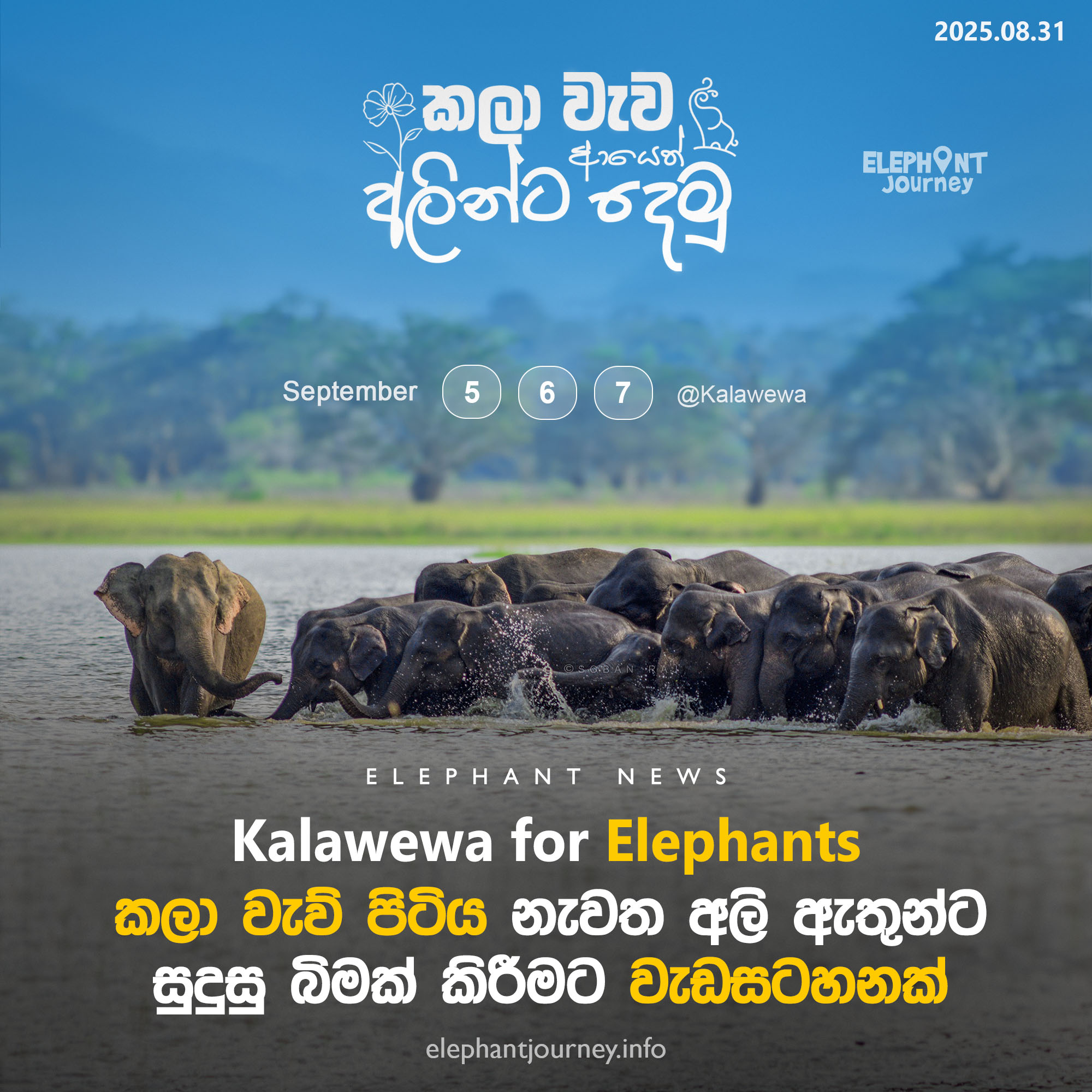 කලා වැව අලින්ට සුදුසු බිමක් කිරීමට වැඩසටහනක්